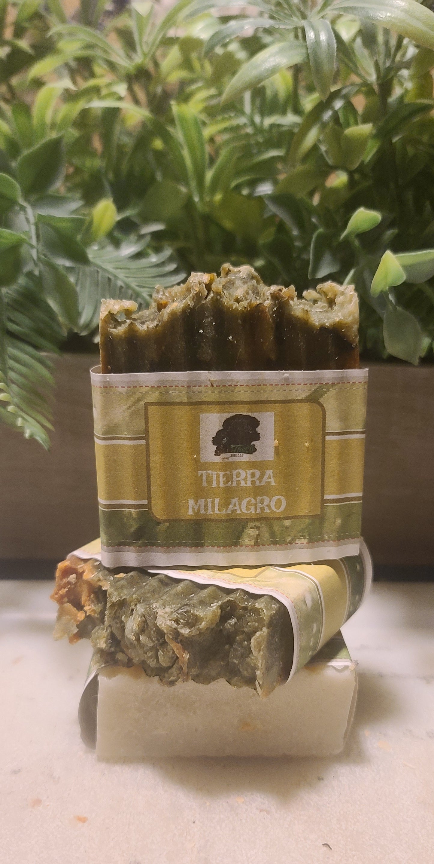 Moringa Infused Body Oil